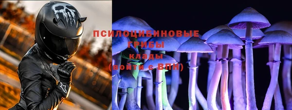 стафф Чистополь