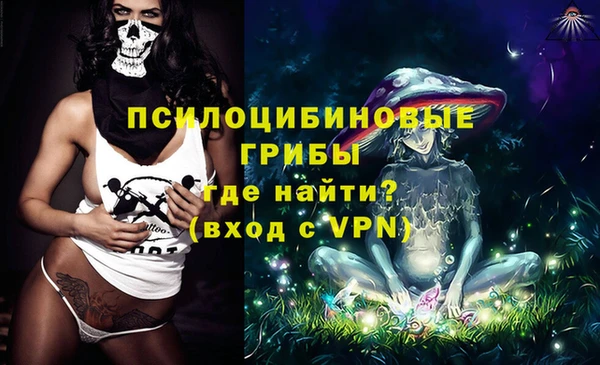 амф Няндома
