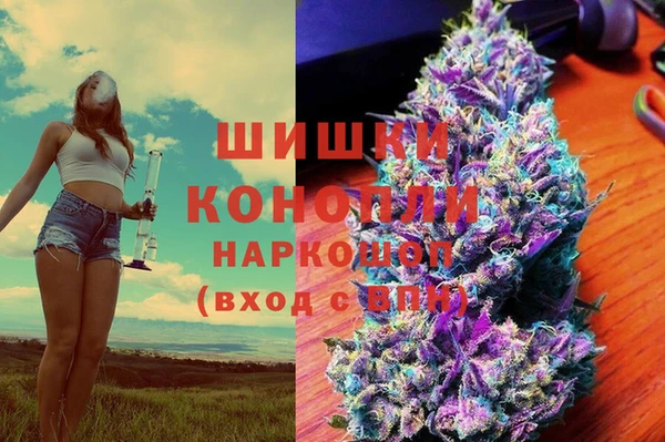 амф Няндома