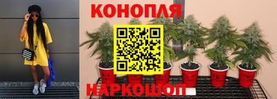 бошки Волжск