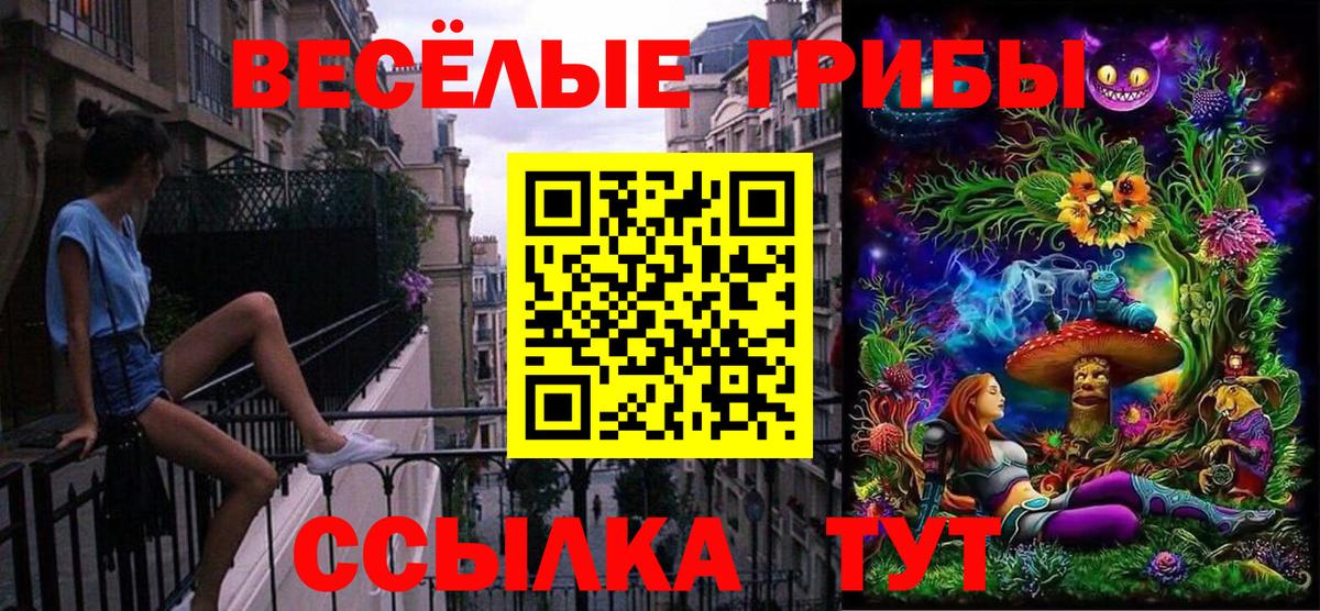 Галлюциногенные грибы Psilocybe  Галлюциногенные грибы GOLDEN TEACHER  Вход с VPN  Чусовой 
