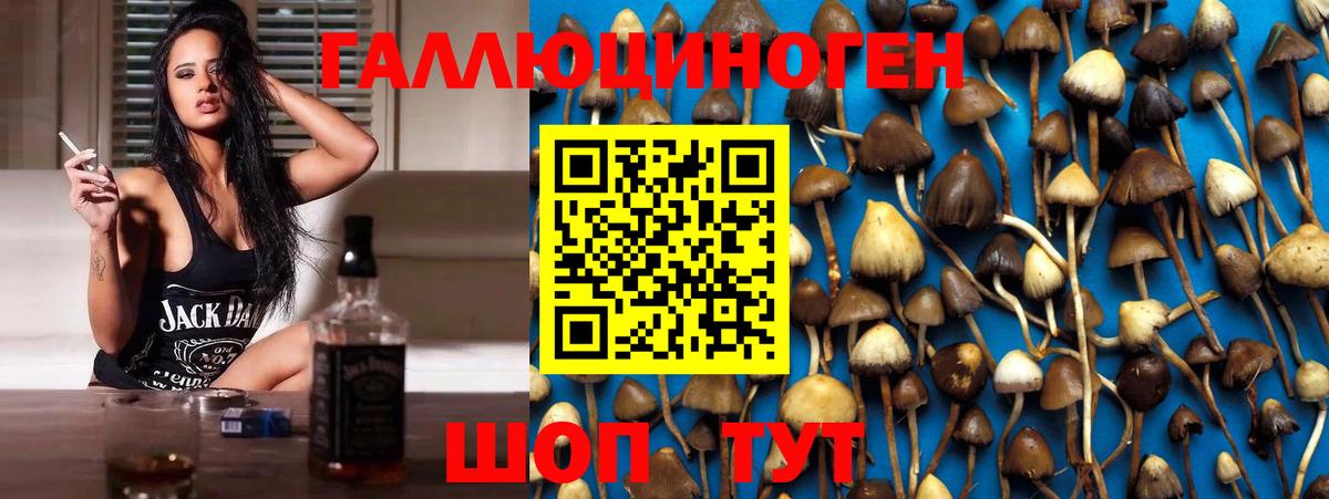 Псилоцибиновые грибы Magic Shrooms  Чусовой 