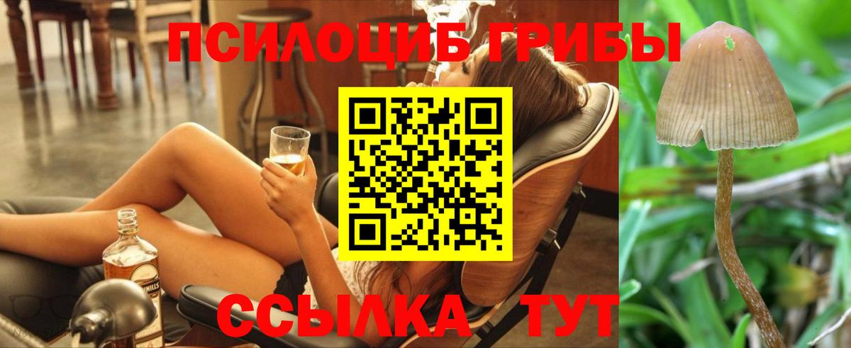 Каннабис  Плюхи  Чусовой  APVP  МЕФ  Мефедрон  COCAIN  Вход с VPN  Кислота 